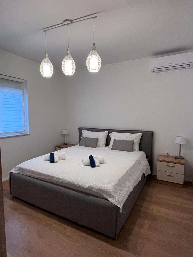 Family & Groups Apartment Zadar